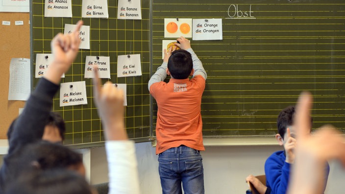 Schüler verbinden Wörter und Bilder an der Tafel zu passenden Paaren