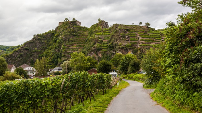 Weinbau im Ahrtal