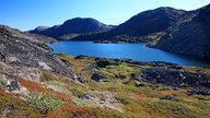 Eine Wiesenlandschaft mit See in Westgrönland.