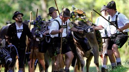 Bayerische Bauern betreiben den traditionellen Almabtrieb der Kühe