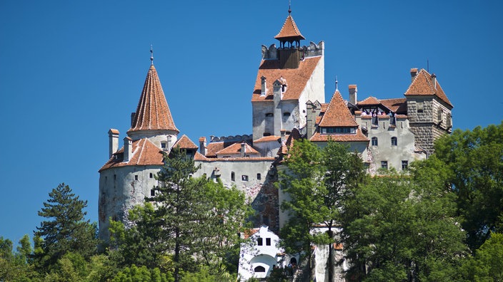 Schloss von malerischer Landschaft umgeben.