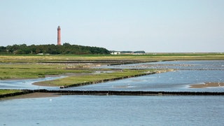 Küste auf Norderney