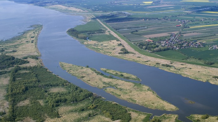 Marschlandschaft an der Unterelbe