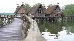 Screenshot aus dem Film "Fünf Bodensee-Superlative"