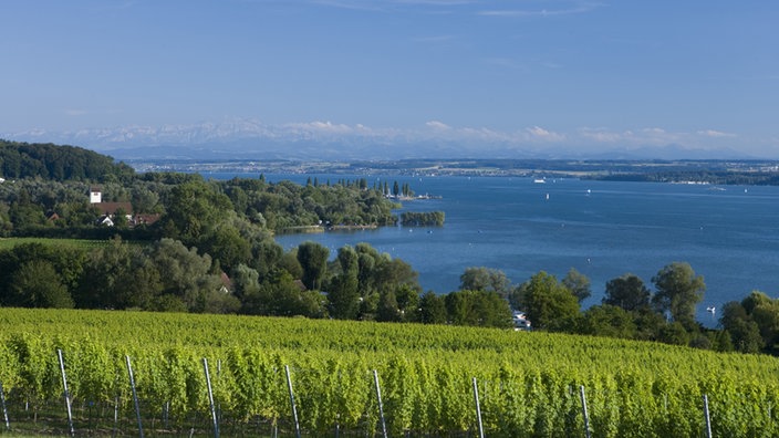 Blick auf den Bodensee.