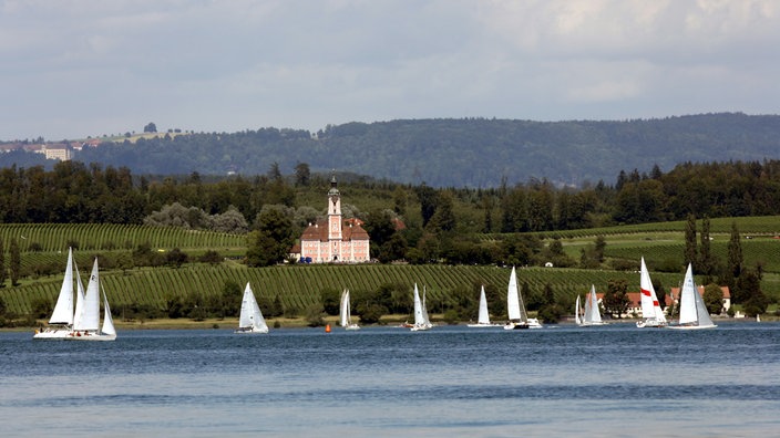 Kleine Segelboote segeln auf dem Bodensee.