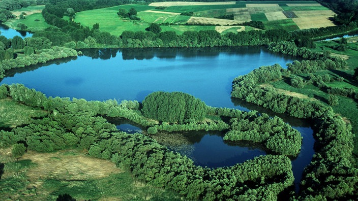 Auenlandschaft mit dichter Bewaldung.