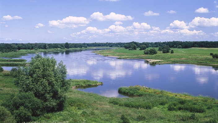 Wie ein breites blaues Band zieht sich die Mittelelbe bei Dessau durch eine flache grüne Landschaft.