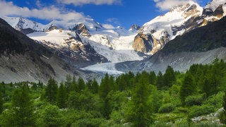 Die schneebedeckten Alpen im Hintergrund, davor bewaldete Höhen.