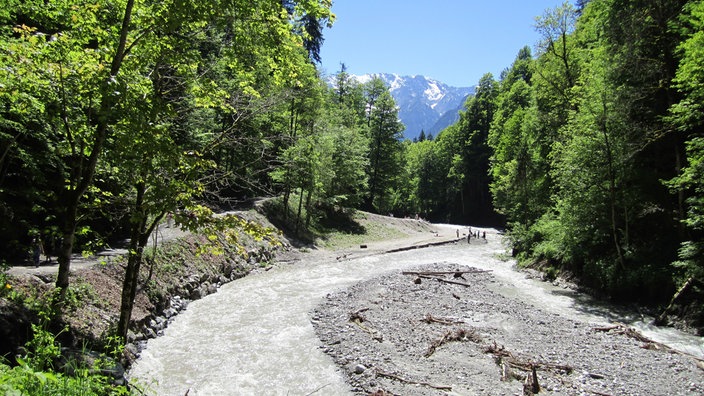 Die rechts und links bewaldete Partnachklamm mit dem Blick auf die Berge im Hintergrund