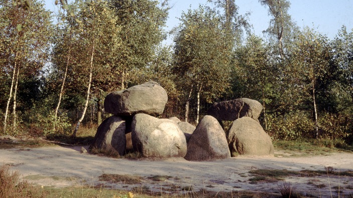 Hünengrab in der Lüneburger Heide