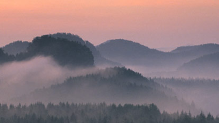 Nebliger Wald bei Sonnenaufgang