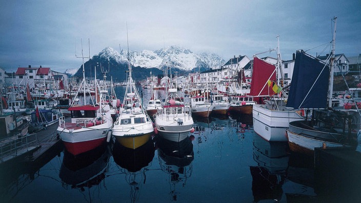 Schiffe in einem Hafen auf den Lofoten.