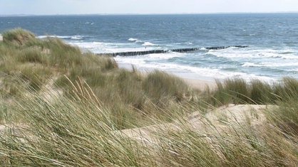 Strand und Dünen in Zeeland. Im Hintergrund ist die stürmische Nordsee zu sehen.