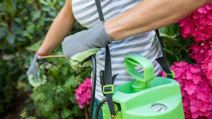 Frau bei Gartenarbeit mit Gartenhandschuhen und mit Gefäß für Pflanzenschutzmittel.