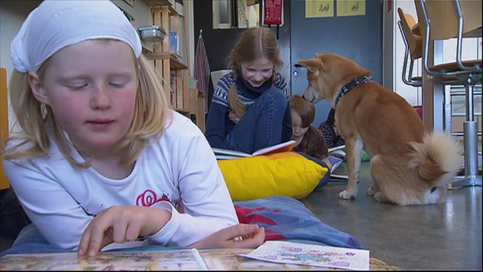 Schulhund mit Kinder im Klassenzimmer