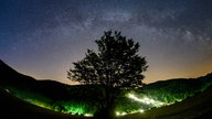 Die Milchstraße scheint am Horizont hinter einem Baum