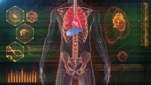 Grafik: Ein durchsichtiger Oberkörper, in dem das Skelett und die Lunge eingezeichnet ist.