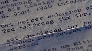 Nahaufnahme eines mit Schreibmaschine geschriebenen Schriftstücks. 