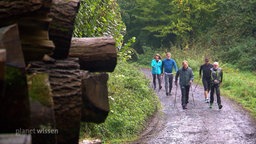 Eine Gruppe älterer Menschen beim Walking durch die Natur.