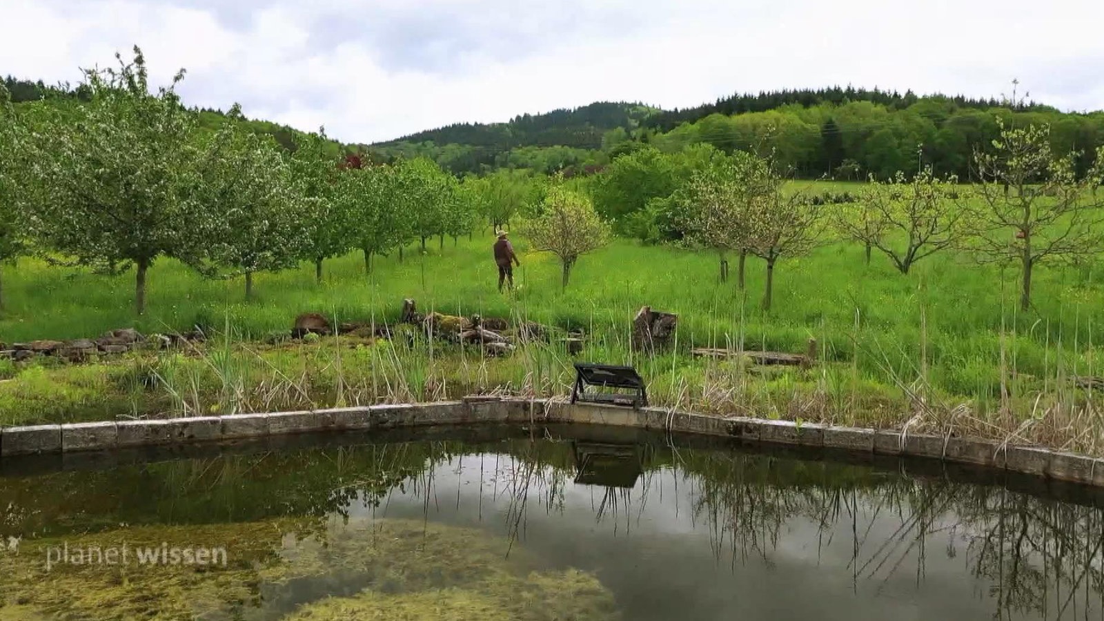 Im Vordergrund ein Teich, dahinter Obstbäume