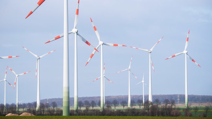 Zahlreiche Windräder stehen auf Feldern