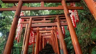 Tunnel aus hölzernen stiftförmigen Balken, ein sogenanntes Torii, in einem Park.